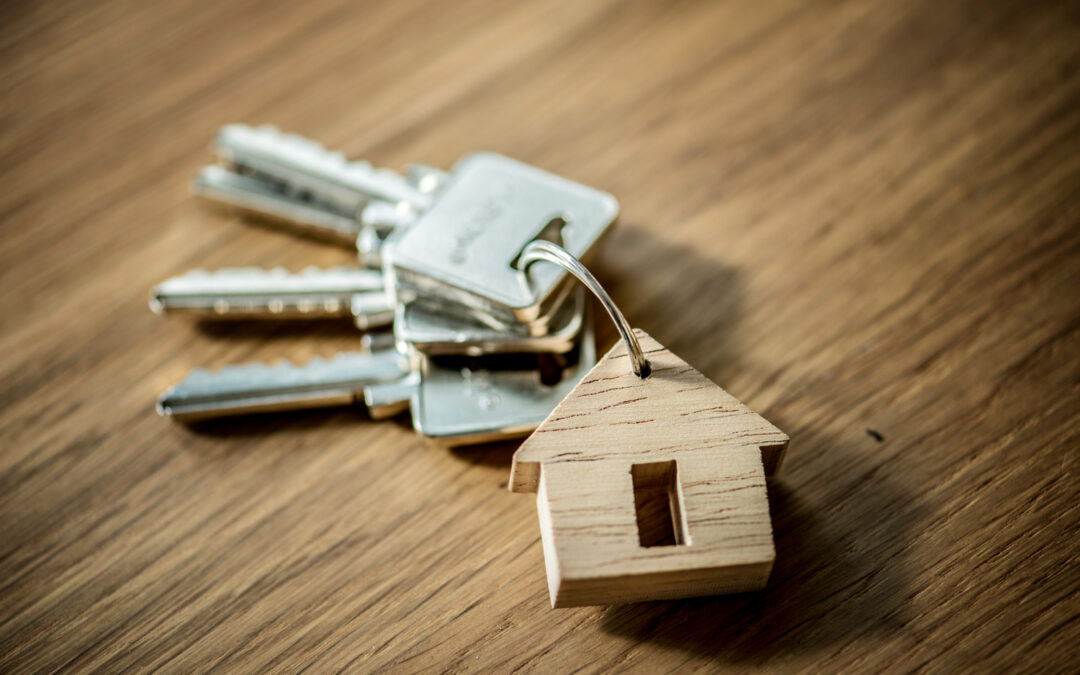 Solvency study for tenants: How to secure a rental without surprises